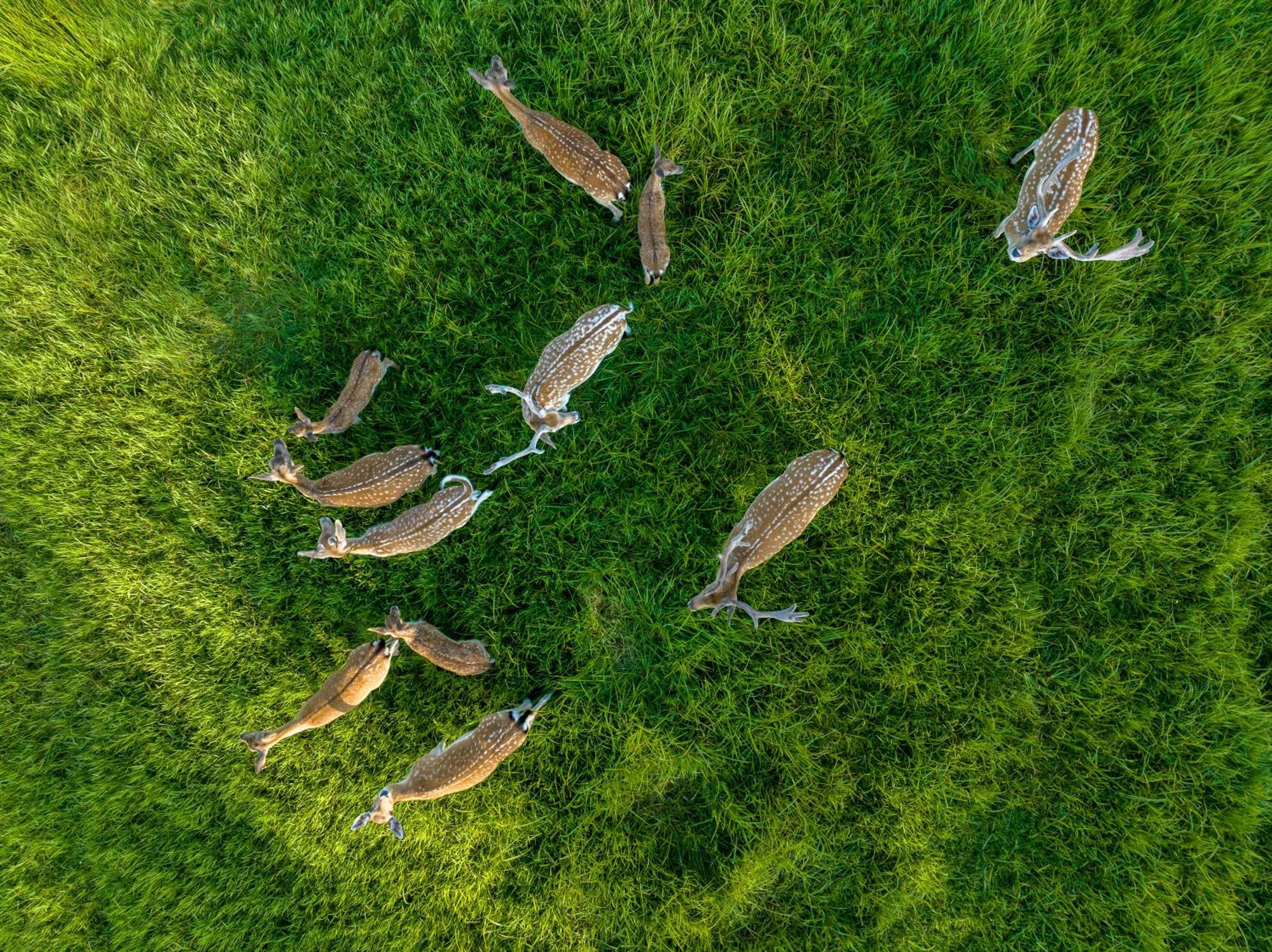 Siedlisko Leszczewek Villa Bagian luar foto