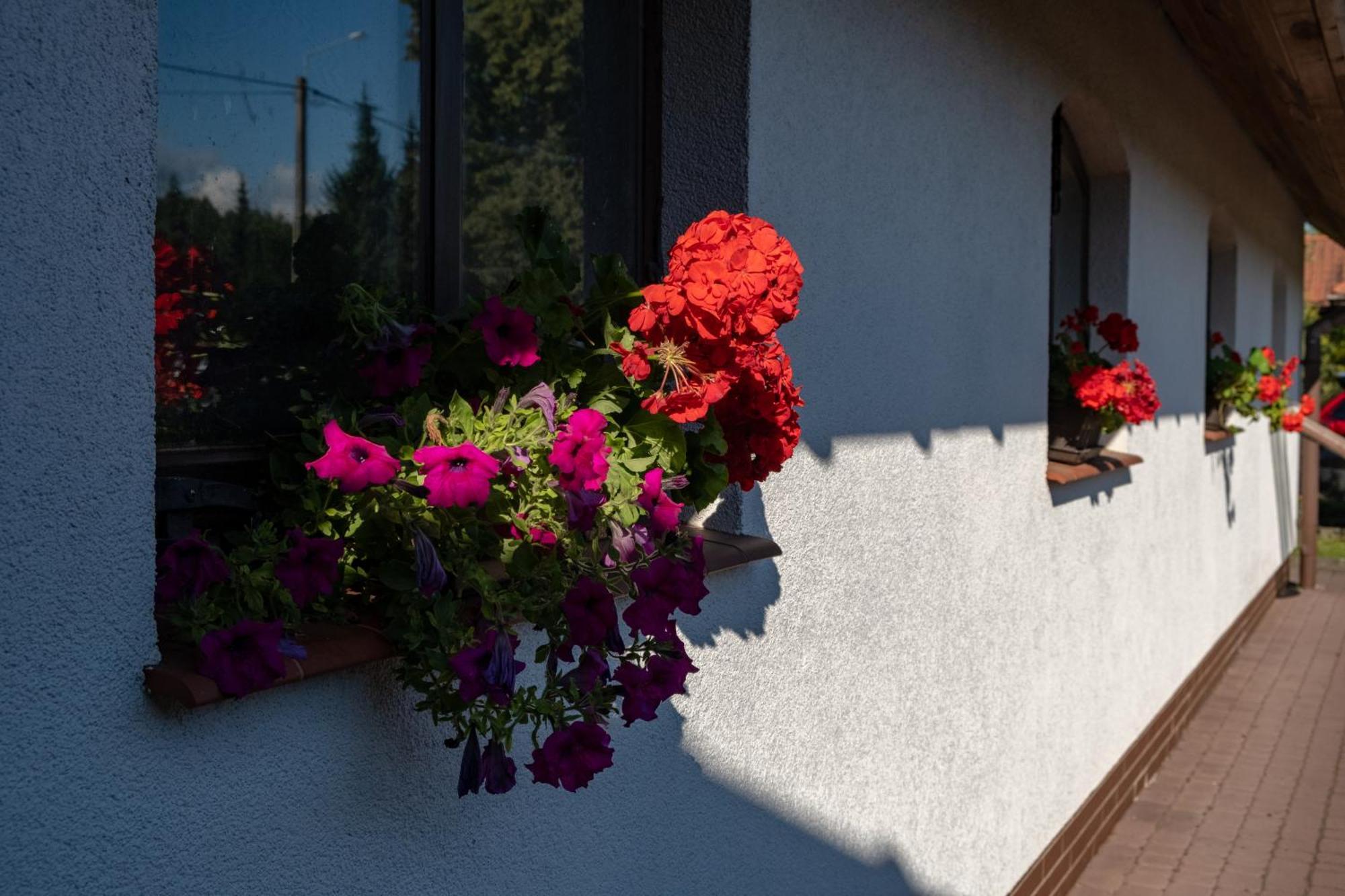 Siedlisko Leszczewek Villa Bagian luar foto